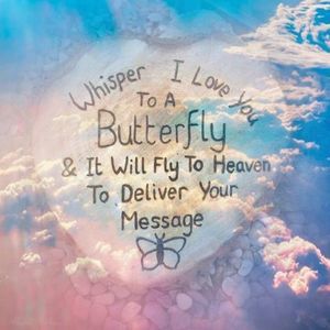 Meet your Posher, Benicia n